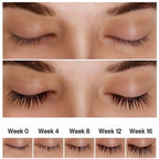 iBeauty™ Lashes & Brows Serum